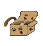 siamese cats（個別スタンプ：1）