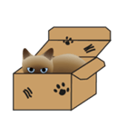 siamese cats（個別スタンプ：2）
