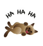 siamese cats（個別スタンプ：9）