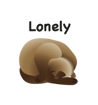 siamese cats（個別スタンプ：12）