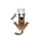 siamese cats（個別スタンプ：14）