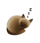 siamese cats（個別スタンプ：18）
