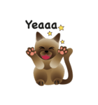 siamese cats（個別スタンプ：31）