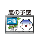 速報！ちびくまテレビ（個別スタンプ：4）