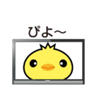 速報！ちびくまテレビ（個別スタンプ：11）