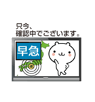 速報！ちびくまテレビ（個別スタンプ：16）