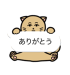 クールなネコヒトさん（個別スタンプ：8）