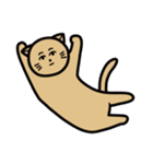 クールなネコヒトさん（個別スタンプ：16）