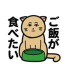 クールなネコヒトさん（個別スタンプ：19）