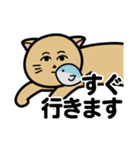 クールなネコヒトさん（個別スタンプ：34）