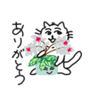 猫と植物（個別スタンプ：2）