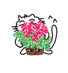 猫と植物（個別スタンプ：31）