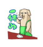 真顔時々変顔犬（個別スタンプ：3）