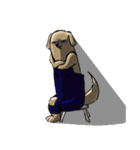 真顔時々変顔犬（個別スタンプ：7）