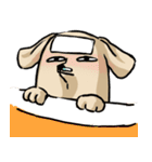 真顔時々変顔犬（個別スタンプ：11）