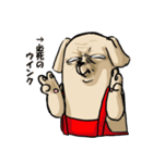 真顔時々変顔犬（個別スタンプ：12）