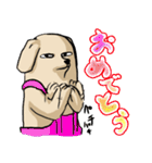 真顔時々変顔犬（個別スタンプ：13）