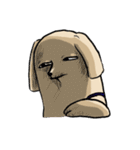 真顔時々変顔犬（個別スタンプ：14）
