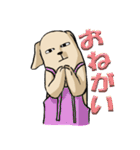 真顔時々変顔犬（個別スタンプ：16）
