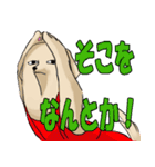 真顔時々変顔犬（個別スタンプ：17）