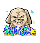 真顔時々変顔犬（個別スタンプ：19）