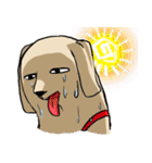 真顔時々変顔犬（個別スタンプ：21）