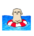 真顔時々変顔犬（個別スタンプ：22）