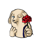真顔時々変顔犬（個別スタンプ：24）