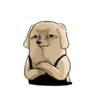 真顔時々変顔犬（個別スタンプ：31）