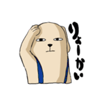 真顔時々変顔犬（個別スタンプ：35）