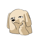 真顔時々変顔犬（個別スタンプ：36）