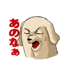 真顔時々変顔犬（個別スタンプ：38）