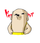真顔時々変顔犬（個別スタンプ：40）