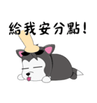 Cool-Dog 3th（個別スタンプ：20）