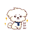 Maltese QQ, his daily life（個別スタンプ：1）