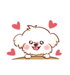 Maltese QQ, his daily life（個別スタンプ：3）