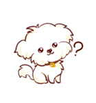 Maltese QQ, his daily life（個別スタンプ：6）