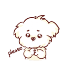 Maltese QQ, his daily life（個別スタンプ：7）