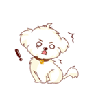 Maltese QQ, his daily life（個別スタンプ：8）