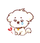 Maltese QQ, his daily life（個別スタンプ：9）