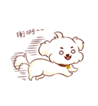 Maltese QQ, his daily life（個別スタンプ：10）