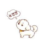 Maltese QQ, his daily life（個別スタンプ：11）