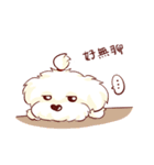 Maltese QQ, his daily life（個別スタンプ：13）