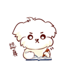 Maltese QQ, his daily life（個別スタンプ：18）