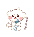 Maltese QQ, his daily life（個別スタンプ：22）