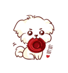 Maltese QQ, his daily life（個別スタンプ：27）