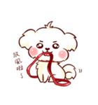 Maltese QQ, his daily life（個別スタンプ：30）