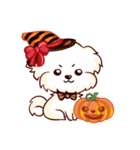Maltese QQ, his daily life（個別スタンプ：38）