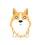 Pocky the Corgi（個別スタンプ：4）