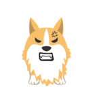 Pocky the Corgi（個別スタンプ：10）